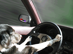 So komme ich zum Platz