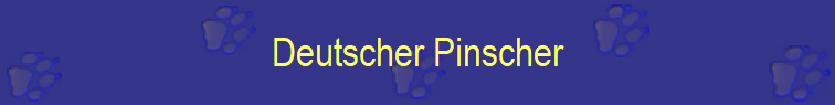 Deutscher Pinscher