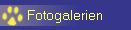 Fotogalerien